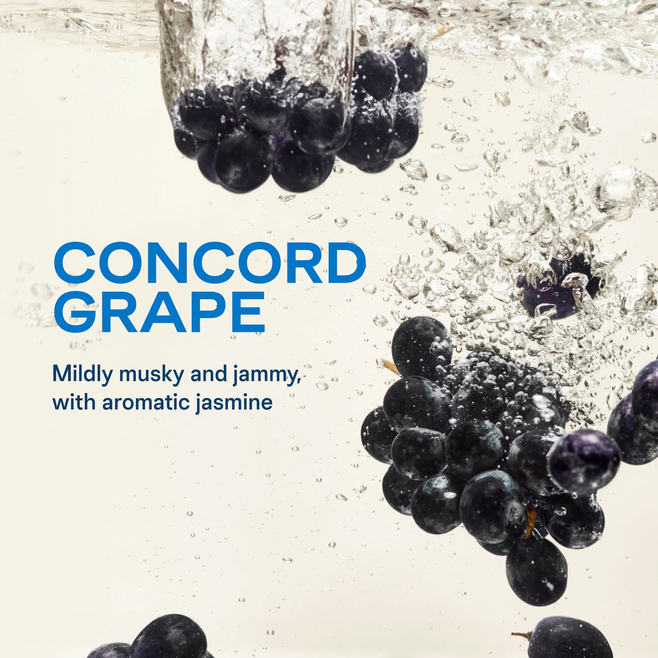 Liquid I.V.® Concord Grape Hydration Multiplier® Powdered Electrolyte Drink Mix, 12 Count Packets