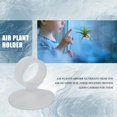 thumbnail image 2 of 20 piezas de soporte para plantas de aire, maceta Soporte para plantas de aire con ventosa para colgar (plantas no incluidas), 2 of 5