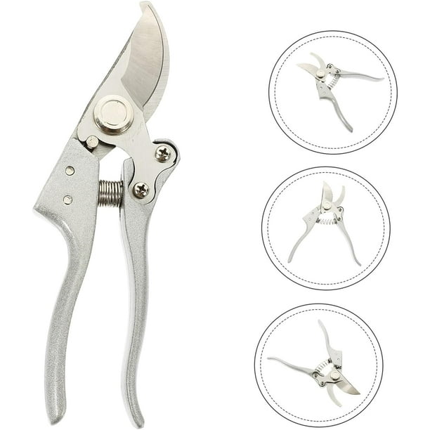 Pruning shears indoor sale plants