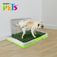 thumbnail image 5 of DOGGIE GRASS MINI P/MACHO, 5 of 5