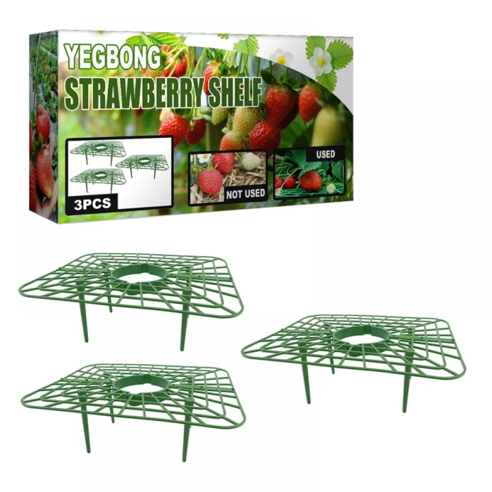 3 Packs Strawberry Supports Strawberry Plant Support Strawberry
