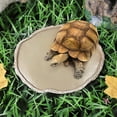 thumbnail image 4 of PAMINGONO Plato De Alimentación Para Mascotas Dorado De Resina Duradera Para Reptiles Y Anfibios, 4 of 8