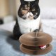 thumbnail image 4 of Alfombrilla rascadora para muebles, suministros de muebles para mascotas para y animales de interior, alfombrilla rascadora de Yuyangstore  Almohadilla para rascar gatos, 4 of 8