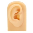 thumbnail image 2 of Display  Ear Model, Soft Silicone Flexible Ear Simulation Pierce Practice Jewelry, 2 of 8