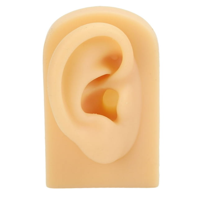 Modelo de oreja de silicona suave, Flexible, simulación de oreja, práctica de perforación, exhibición de joyería, modelo de oreja falsa
