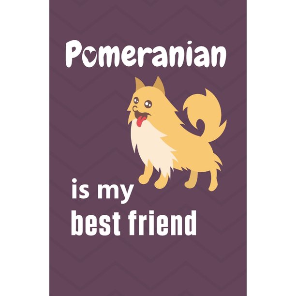 are pomeranian and cats good friends