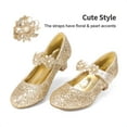 thumbnail image 4 of BURUDANI Girls Mary Jane Dress Shoes Pumps Low Heels Flower Party Wedding Princess, 4 of 5
