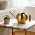 thumbnail image 4 of zhangmingg Stainless Steel Indoor Watering Can with Extended Long Spout for Precise Hydration in Home and Garden Spaces, 4 of 4