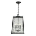 thumbnail image 4 of Acclaim Lighting 1626 Hirche 4 Light 12" Wide Outdoor Pendant - Black, 4 of 6