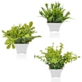 thumbnail image 1 of Conjunto de Vegetación Artificial en Maceta de Hierba Verde Verde de 3 Plantas Falsas Pequeñas Hojas Falsas de Hierba Negra en Maceta para Decoración de Escritorio de Oficina en el Hogar, 1 of 7