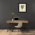 thumbnail image 3 of Catesby, Mark 15x18 Black Ornate Wood Framed with Double Matting Museum Art Print Titled - Catesby Bird and Botanical III, 3 of 4