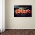 thumbnail image 3 of "Flowers Waiting" Canvas Art by Philippe Sainte-Laudy, 3 of 3