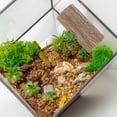 thumbnail image 4 of SHOWERORO Casa De Resina Para Reptiles Con Ventosas Para Y Terrarios Color Café, 4 of 6
