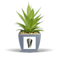 thumbnail image 1 of Snail Marine Life Black Illustration Fake Pineapple Flower Pot Vase Mini Decor, 1 of 3