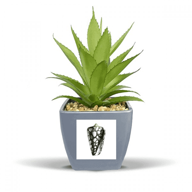 Snail Marine Life Black Illustration Fake Pineapple Flower Pot Vase Mini Decor