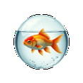 thumbnail image 6 of cartoon Goldfish Theme Stickers, Waterproof Goldfish Theme Sticker for Water Bottle Laptop Phone Cases Planner Skateboard Luggage Helmet Party Favor Decor, Ideal for Adults Teens Teacher Rewards, 6 of 9