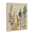thumbnail image 2 of Stupell Industries Eclectic Fall Botanicals Forest Ferns Canvas Art, 36 x 48, by Elizabeth Medley, 2 of 8
