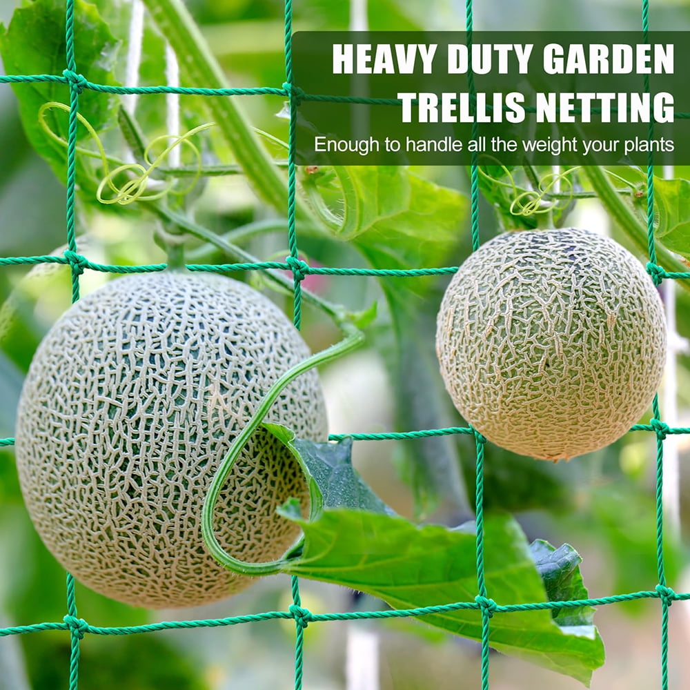 Climbing Garden Trellis - Heavy Duty Garden Netting for Climbing Plants - Trellis Netting for Cucumbers, Vines, Fruits, Durable Nylon Plant Support Trellis - Easy to Install/5.9x11.8 FT （5PCS）