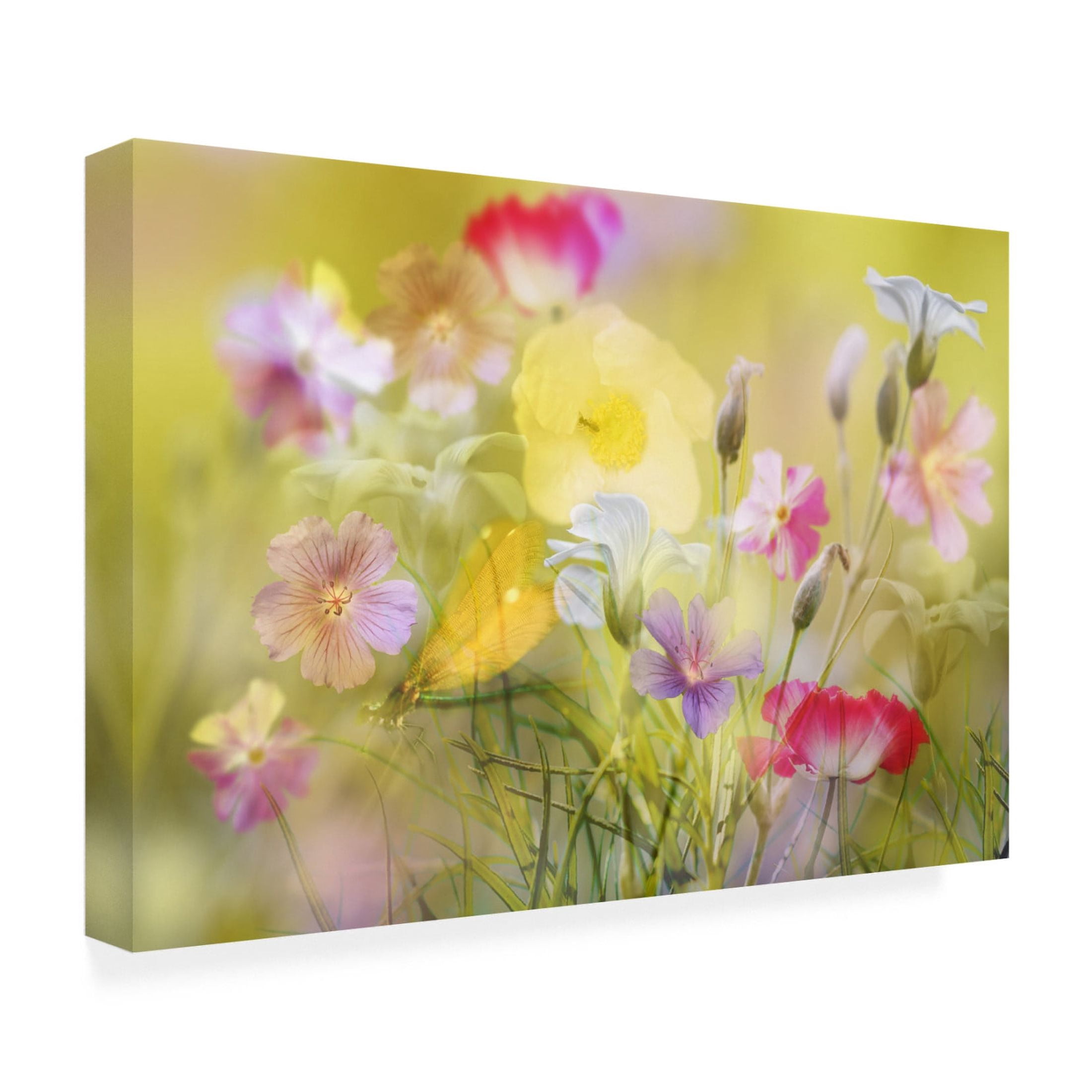 Canvas Wall Art - Ludmila Shumilova 'Tiny Garden In A Summer Field' Wall Art for Living Room, Bedroom, or Office Décor by Trademark Fine Art - 24 x 16 Inches