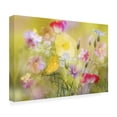 thumbnail image 3 of Canvas Wall Art - Ludmila Shumilova 'Tiny Garden In A Summer Field' Wall Art for Living Room, Bedroom, or Office Décor by Trademark Fine Art - 19 x 12 Inches, 3 of 4