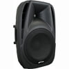 gemini ES-12P Speaker System, 150 W RMS