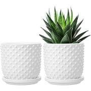 Ceramic Plant Pots, 4.75 inch Flower Pots with Drainage Holes and Saucers, Raised Polka Dot Design Planters for Indoor Plants, Aloe, Snake Plants, Succulents, Set of 2, White