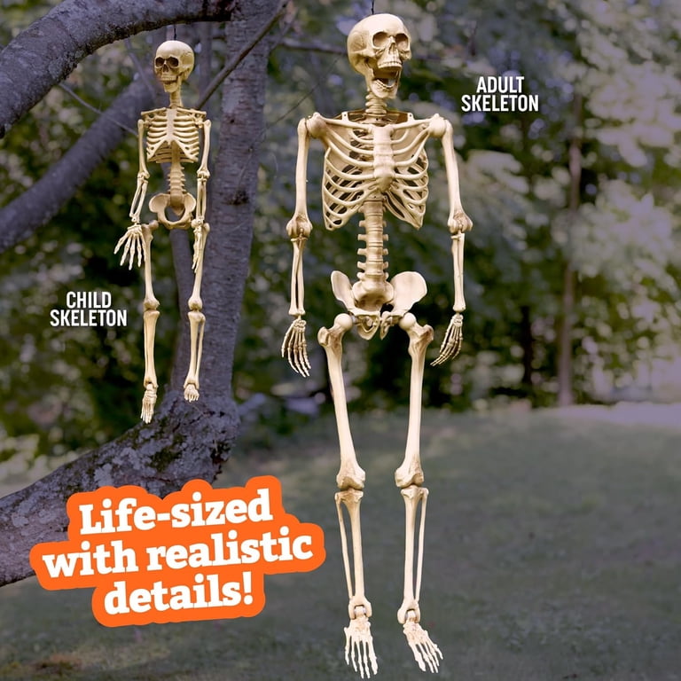 36 Inch Skeleton Decoration 36'' Halloween Skeleton Decoration With ...