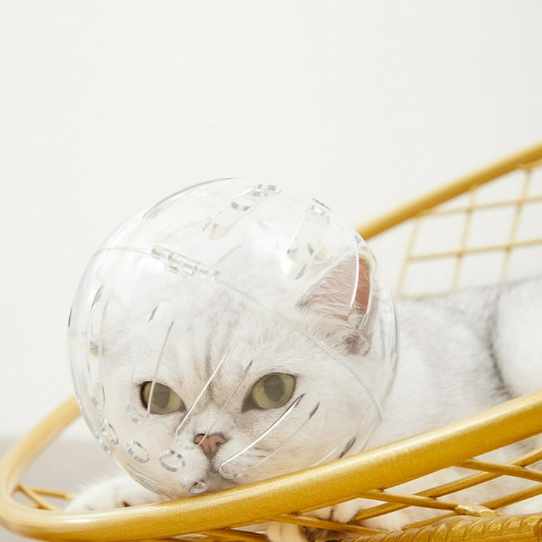 Big hamster ball for sales cats