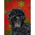 thumbnail image 1 of Caroline's Treasures Red and Green Snowflakes Holiday Christmas 2-Sided Garden Flag, 1 of 7