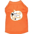 thumbnail image 5 of Halloween Pet Dog  Cat Shirt Screen Printed, "Too Cute To Spook", 5 of 10