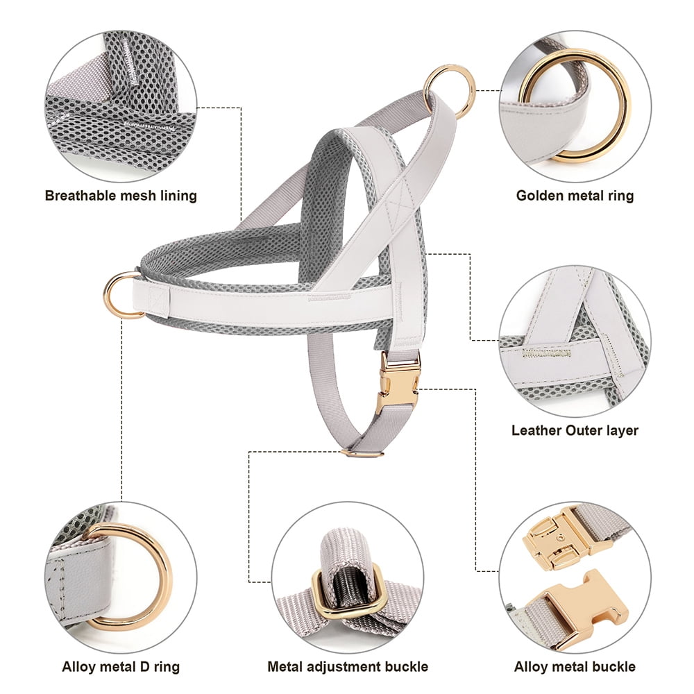 Pet Artist No-Pull Pet Harness and Leash Set, Breathable Mesh & Padded Vest, Front Clip, Adjustable PU Leather with Metal Buckle for Small to Large Dogs