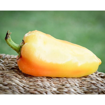 Ferenc Tender Paprika Heirloom Pepper Premium Seeds Packet