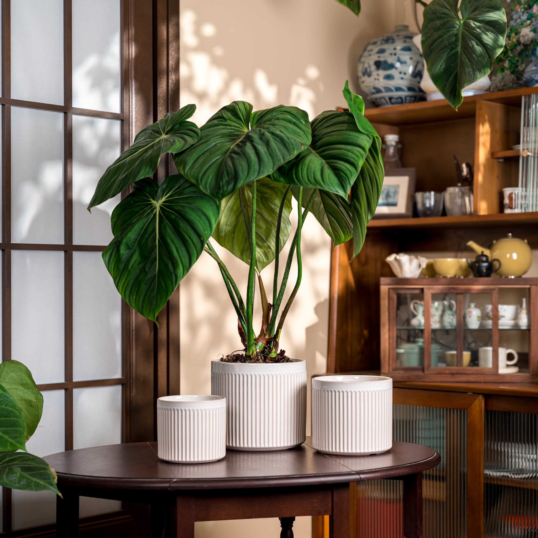 UMIAMOY Modern Cylinder Set of 3 Ceramic Flower Pots,5.7+7.0+8.6 inch Plant Pots with Drainage Holes and Saucer,Indoor Outdoor Planters for Home Patio Garden Decoration