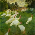 thumbnail image 2 of Monet, Claude 26x26 Gold Ornate Wood Framed with Double Matting Museum Art Print Titled - Turkeys at Montgeron 1877, 2 of 4