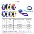 thumbnail image 4 of Nylon Adjustable Dog Collar Leash Lead Pet Cat Dog Collar Traction Leash Suitable for Small Large Dogs Bulldog Pugs Beagle, 4 of 5