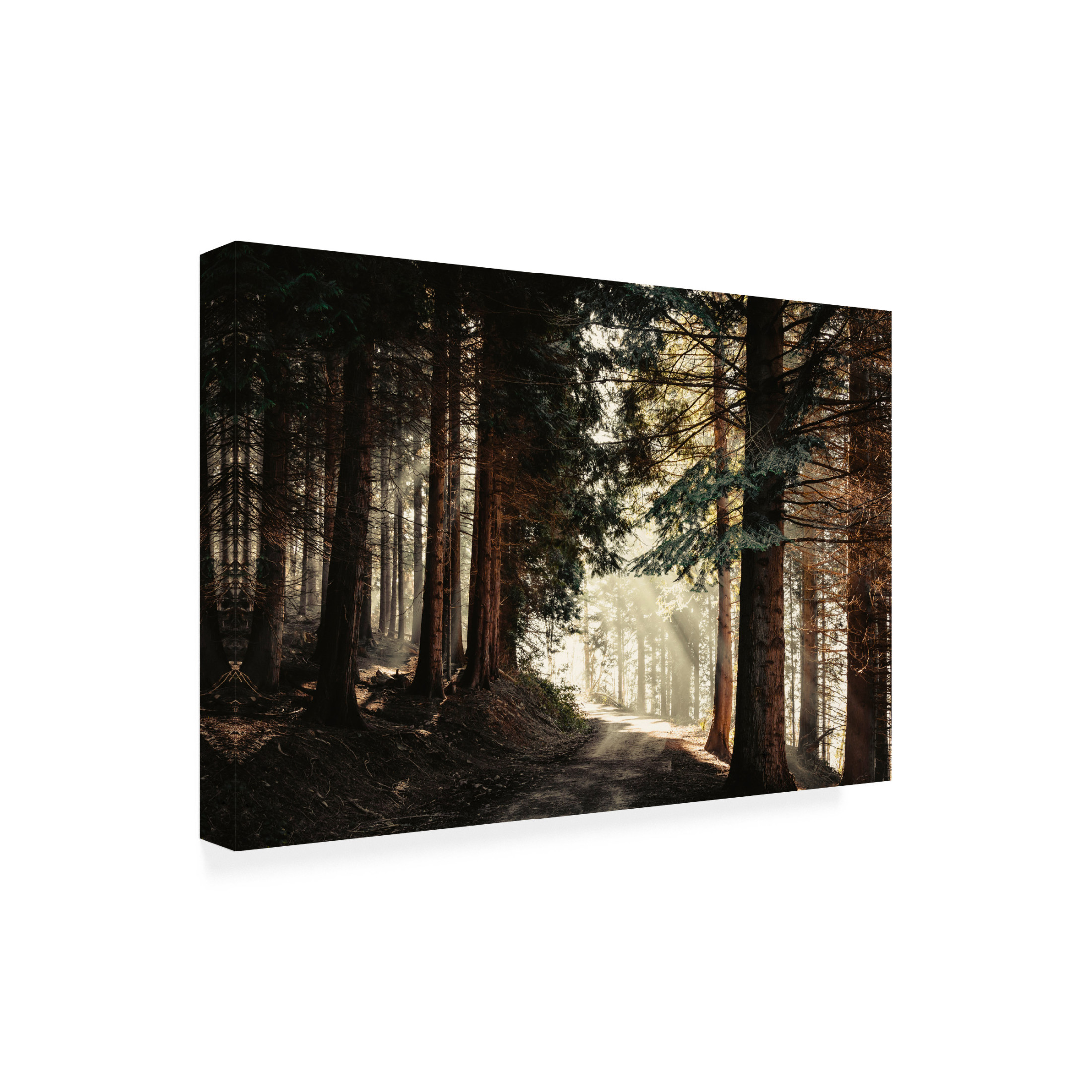 Canvas Wall Art - Dirk Wüstenhagen 'Light Magic' Wall Art for Living Room, Bedroom, or Office Décor by Trademark Fine Art - 32 x 22 Inches