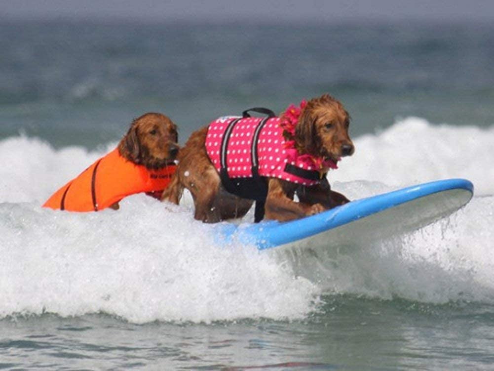HAOCOO Dog Life Jacket Vest Saver Safety Swimsuit Preserver with Reflective Stripes/Adjustable Belt for Dog 