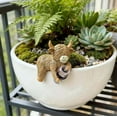 thumbnail image 5 of ToyKingdee Mini Highland Cow Figurines Planter Hugger, Resin Statue for Pots Rustic Indoor Outdoor Garden & Home Decor, Unique Gift for Plant Lovers, 5 of 9