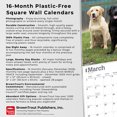 thumbnail image 6 of Labrador Retrievers | 2026 12x24" (Hanging) Square Wall Calendar | Plastic-Free, 6 of 9
