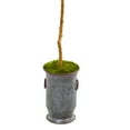 thumbnail image 3 of Nearly Natural 7.5' Olive Artificial Tree in Decorative Planter, Green, 3 of 3