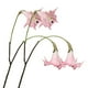 thumbnail image 1 of Flores Artificiales Bearachild 2 Piezas PU Decoración de Boda Rosa, 1 of 6