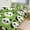 chudan-3, variant on Duvet Cover Queen Size Cute Panda 3 Pcs Duvet Cover Set Bedding Sets Queen Soft Breathable
