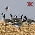 thumbnail image 6 of Avian X AXP Honkers Fusion Pack Lesser Canada Goose Decoys & Included Bag, 6 of 8