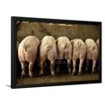 thumbnail image 1 of Large White Pigs Rear View, Lined Up in Pen, Framed Art Print Wall Art Sold by Art.Com, 1 of 5