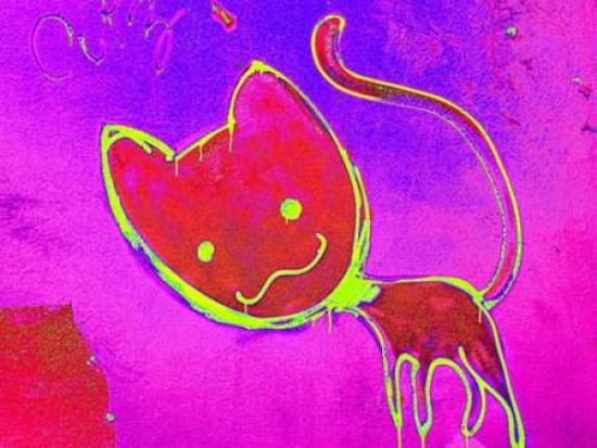 Katze 4 Canvas Art