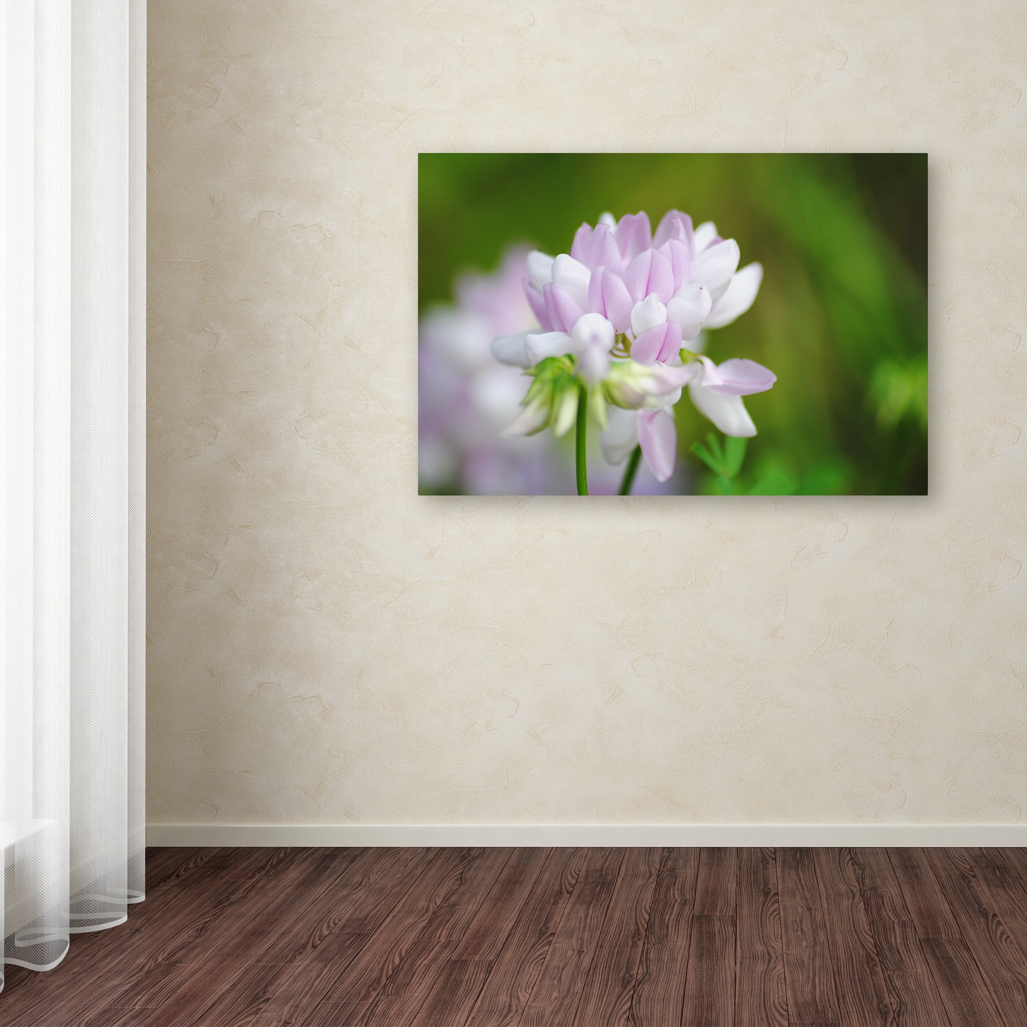 Trademark Fine Art "Calm Heart" Canvas Art by Monica Mize