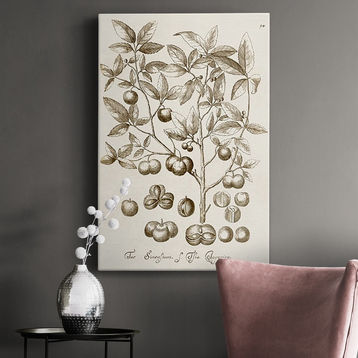 Sepia Botanical Journal II Premium Gallery Wrapped Canvas - Ready to Hang