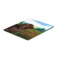 thumbnail image 1 of "Ratón / Hot Pad / Trivet de Caroline's Treasures, Sussex Spaniel (7122MP)" Caroline's Treasures 7122MP, 1 of 1