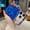 Blue, variant on Leymi Bling Case for iPhone 18 Pro, Slim Lightweight Hard PC Rugged Non-Slip Support Wireless Charging Anti-Fingerprint Shockproof Protective Back Cover for Women Girls