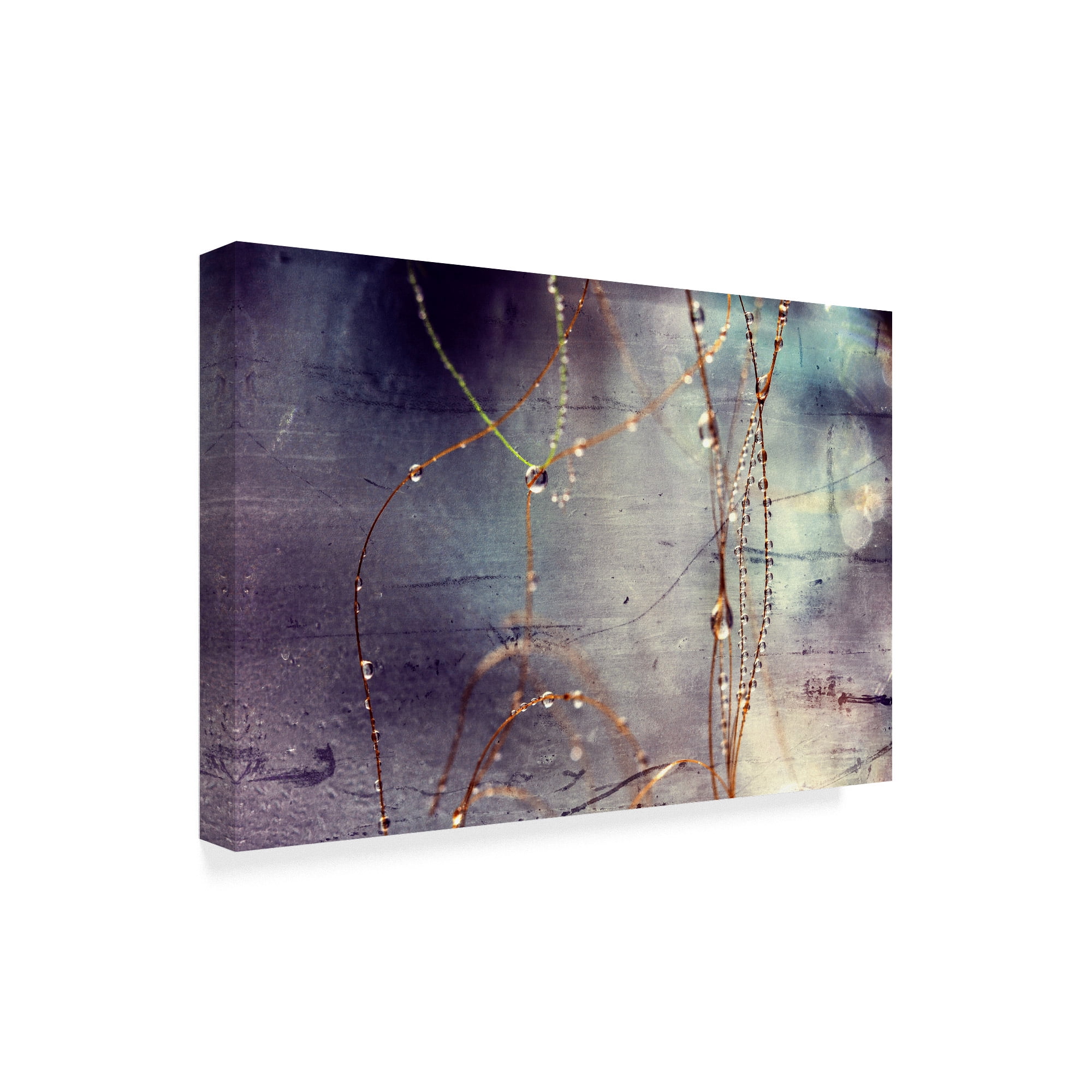 Trademark Fine Art 'Weathered Droplets' Canvas Art by Incredi